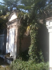 Lafayette Landscaping