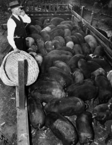 Superintendent H.H. Gibson