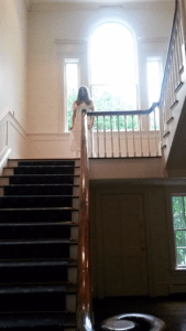 Bella on Stairs