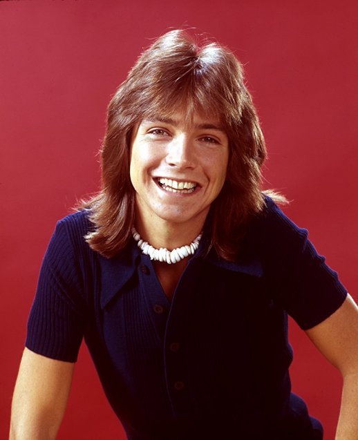 DavidCassidy